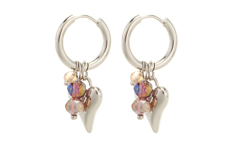 Boucles d'Oreilles Silver Guusje