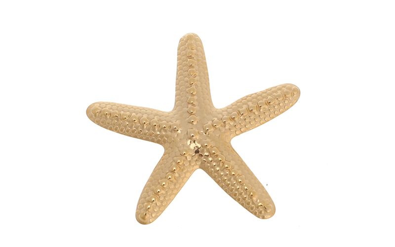 Seastar Broche