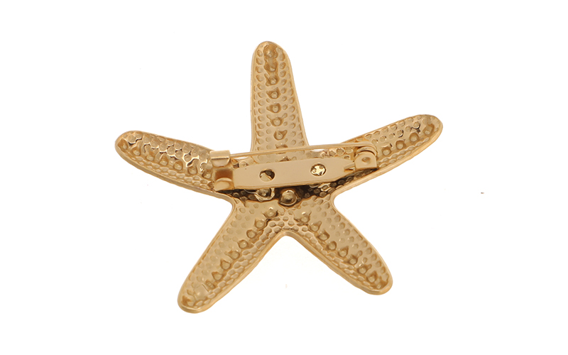Seastar Broche in gebruik