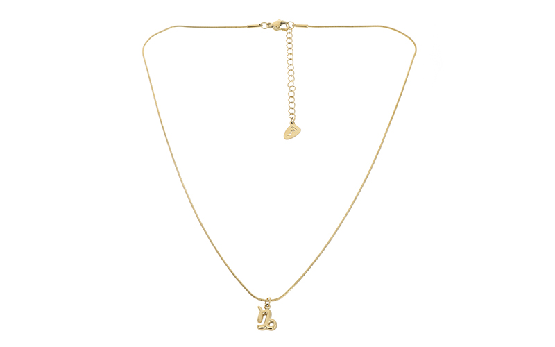 Collier Carlotta Capricorne en situation