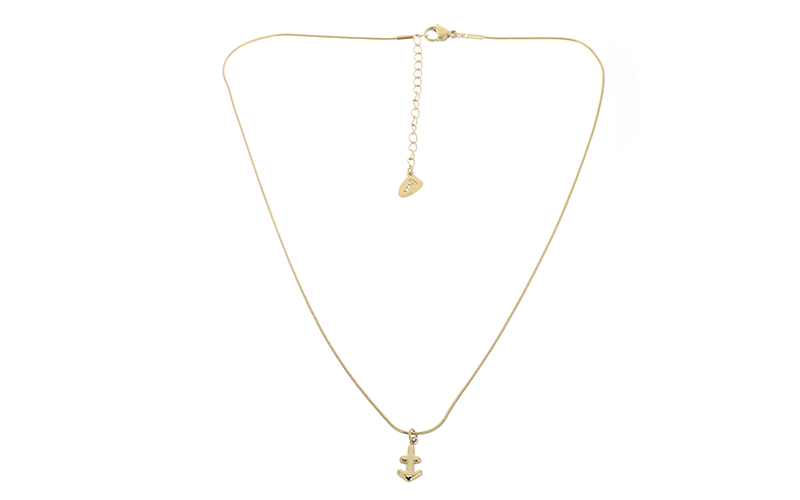 Collier Hunter Carlotta en situation