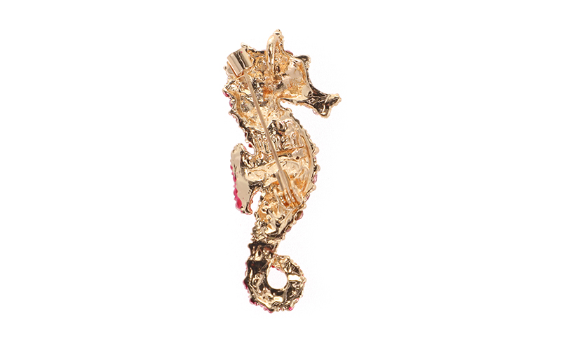 Seahorse Broche in gebruik