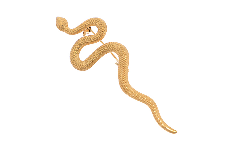 Snake Broche